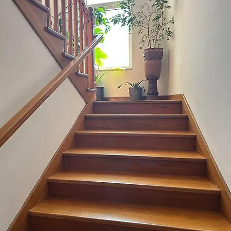 Apartman Leni *
